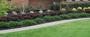 Commercial Landscape Maintenance