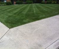 Commercial Lawn Care