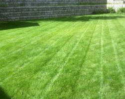 Kamloops Lawn Care